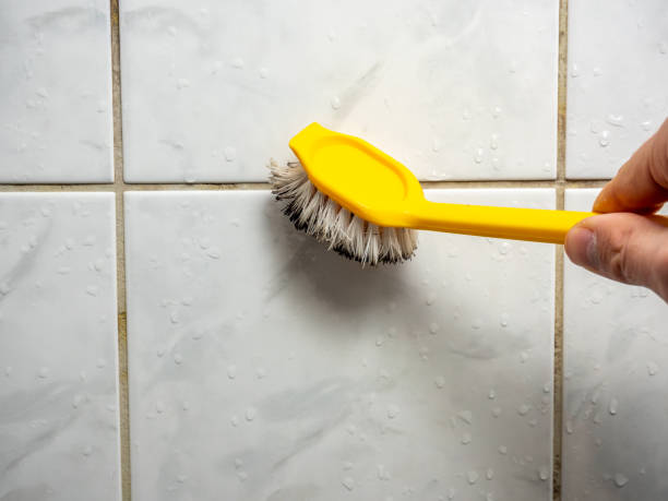 Reliable Irvine, CA Mold Remediation Solutions